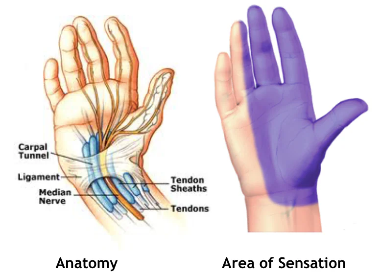 Science Behind The Injury