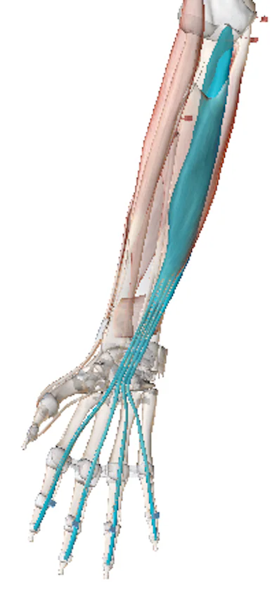 Science Behind The Injury