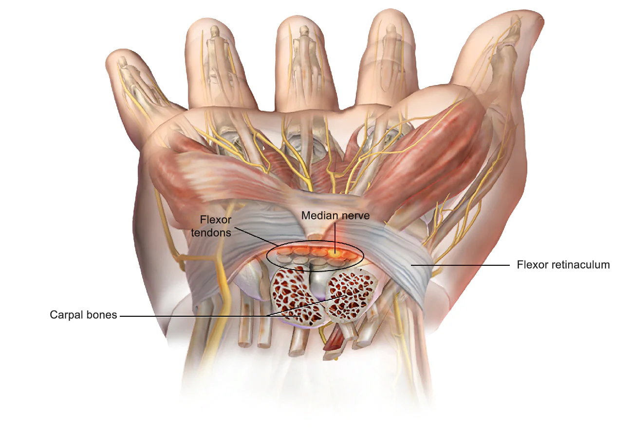 Science Behind The Injury
