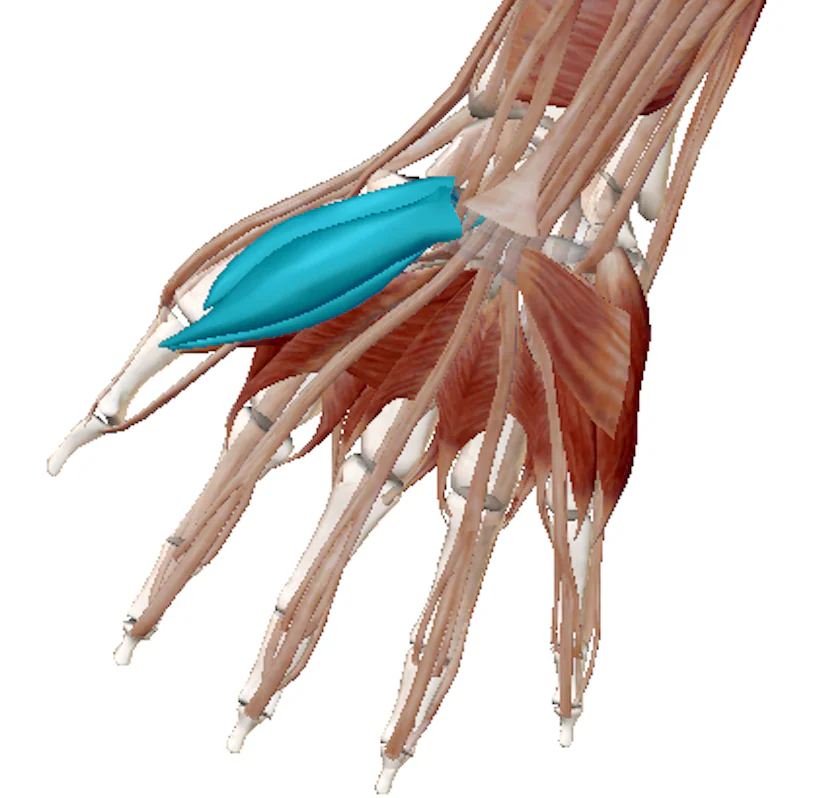 Science Behind The Injury