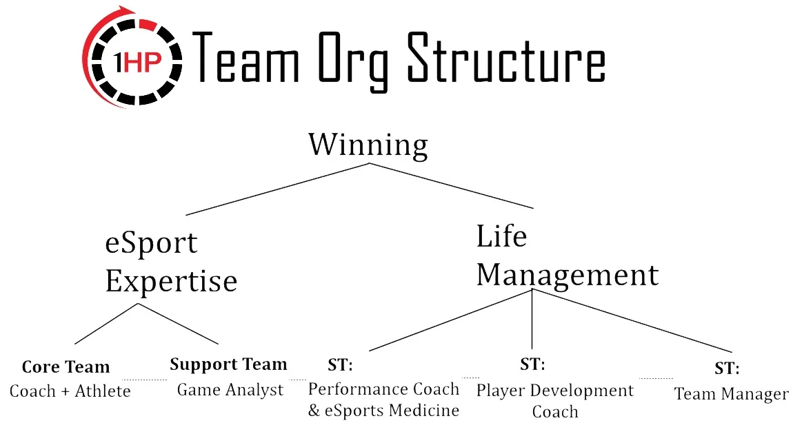 A basic model for teams to consider. Performance Coach/eSports medicine component can also be a combination of several individuals with complementary skills (PT for Injury Management, CSCS/Personal Trainer for Conditioning, Nutritionist for diet optimization)