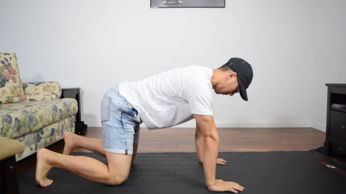 Exercises for Gamers: Quadruped Arm-Reaching