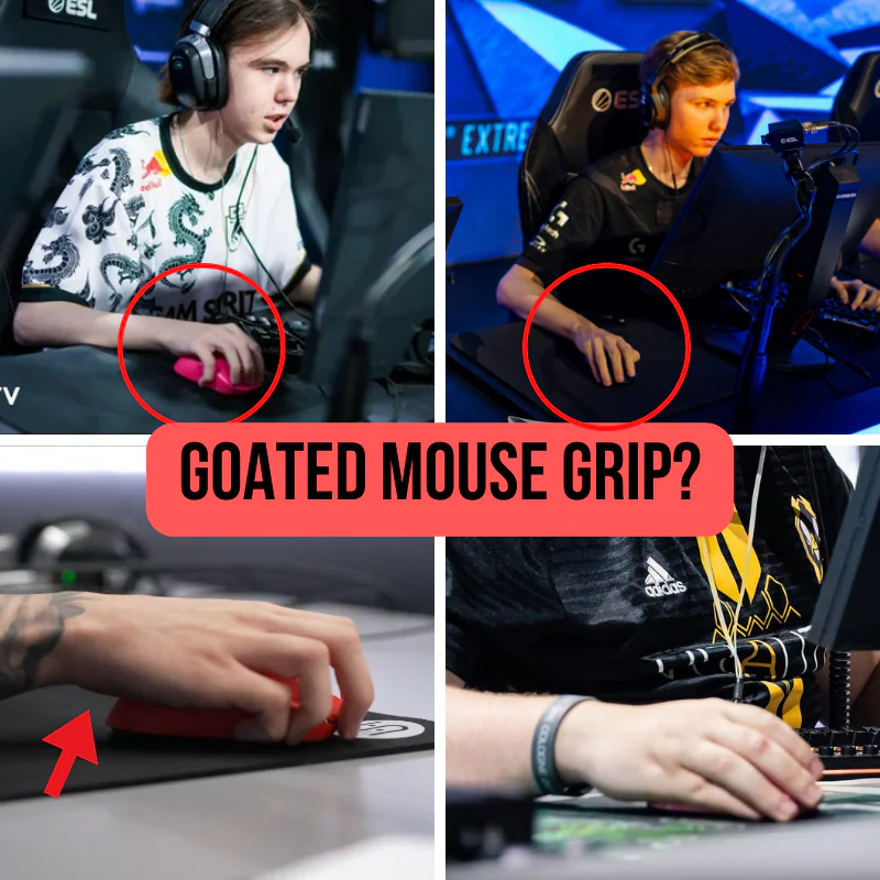 Zywoo, Donk, Monesy, Twistzz Mouse Grip (Valorant, CS 2, FPS Games)
