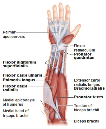 The Gamer’s Guide To Ergonomics Your Posture, Chair, Desk, Fingers And Everything Else8