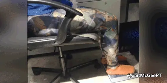 Posture, Posture, Posture 