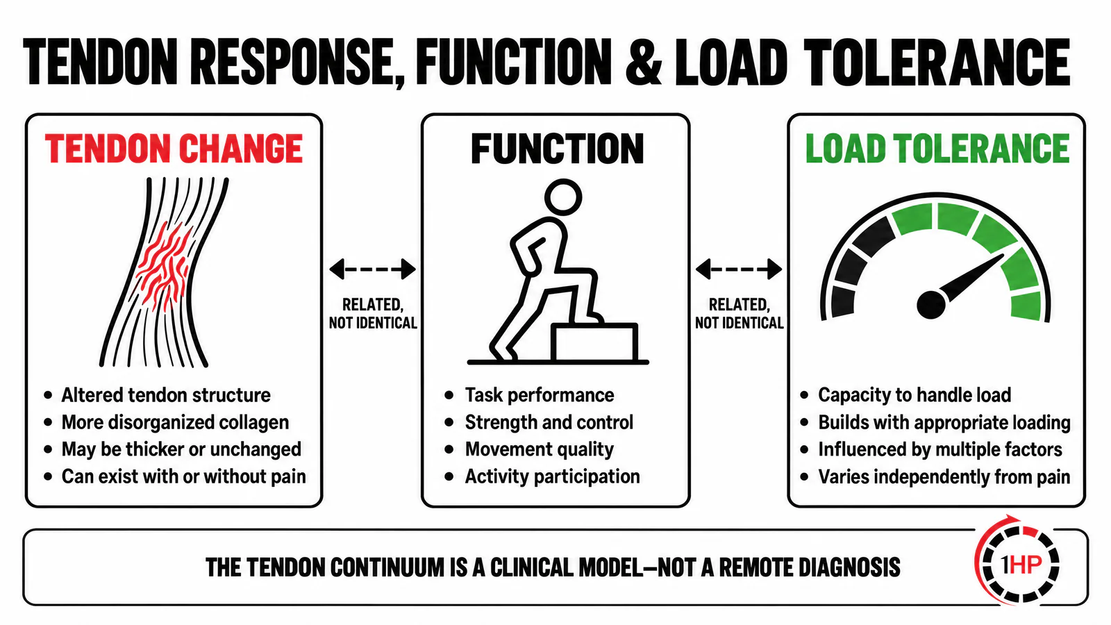 Evidence-based RSI recovery tendon continuum graphic showing tendon response, function, and load tolerance as related but distinct clinical inputs.