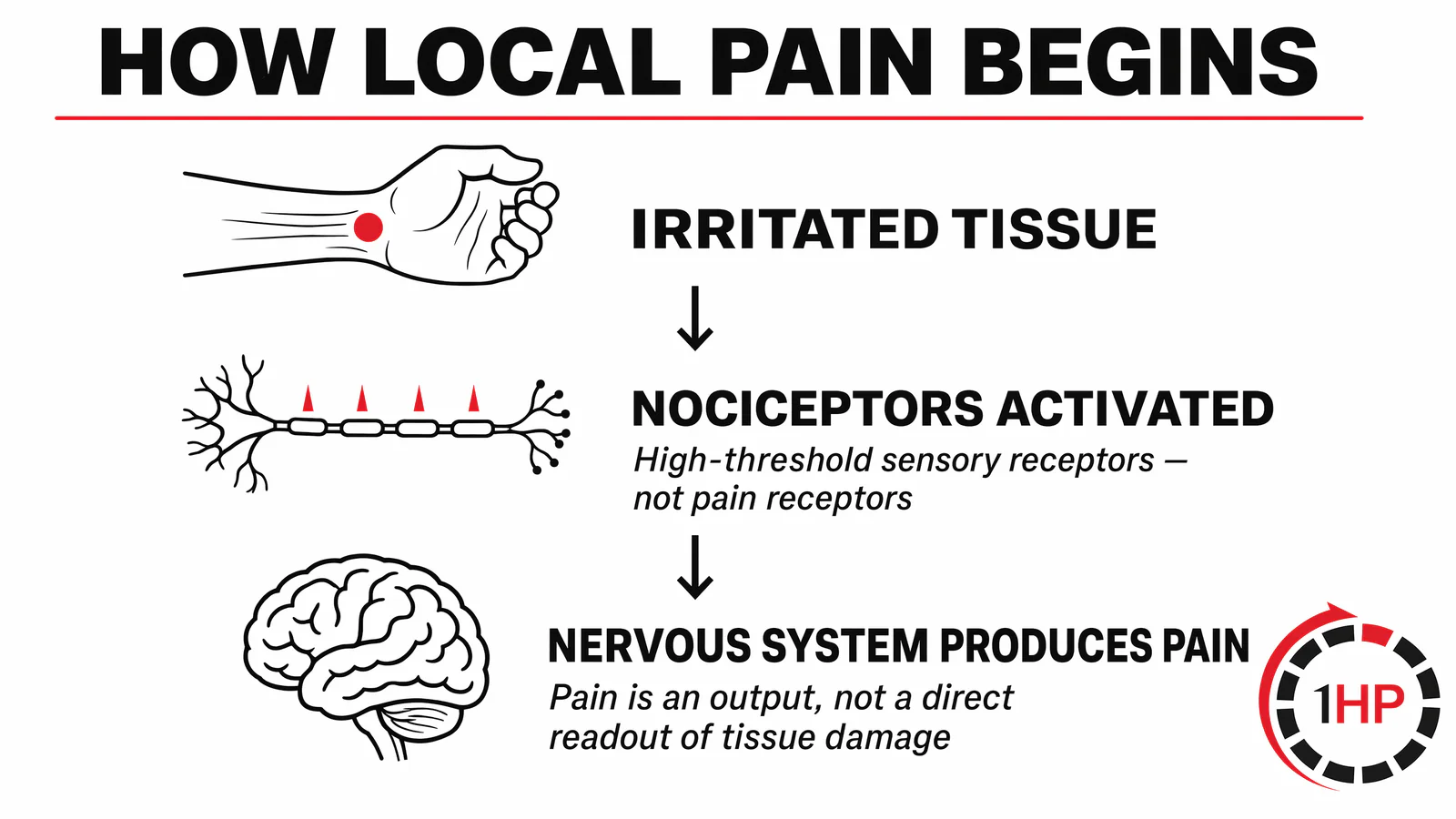 How Local Pain Begins and Signal Transduction