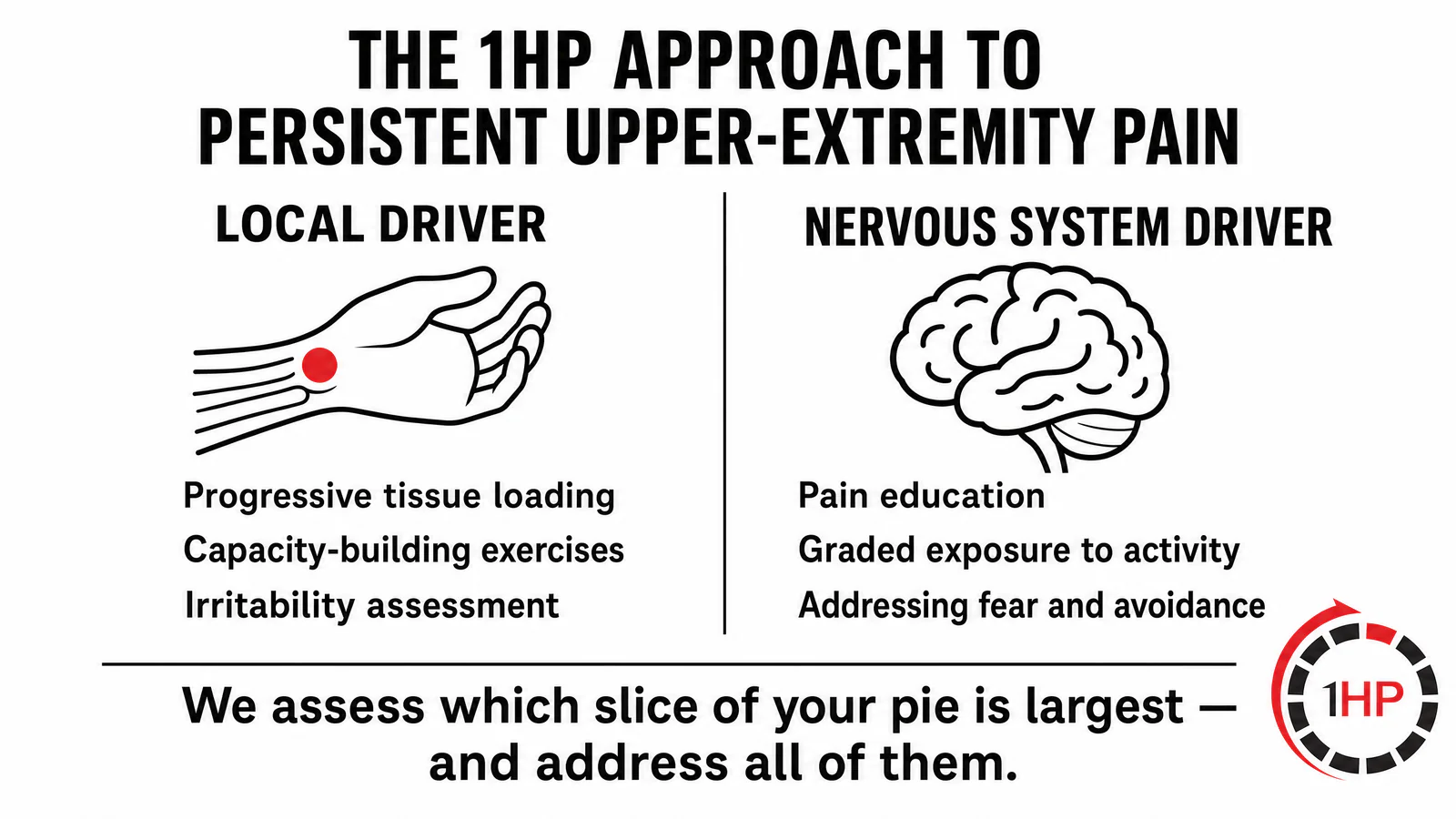 The 1HP Approach to Local and Nervous System Pain Drivers