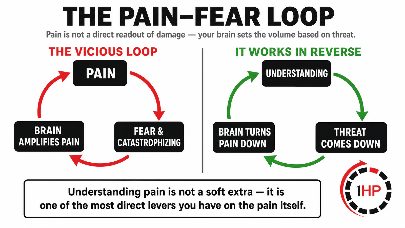 The vicious loop of health anxiety and pain, and how understanding reverses it