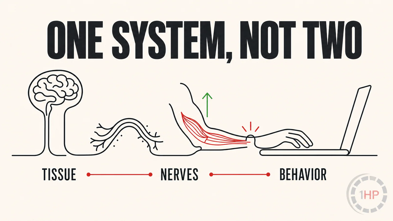 Mind-body approach to RSI recovery graphic showing a connected brain, nervous system, forearm, and hand