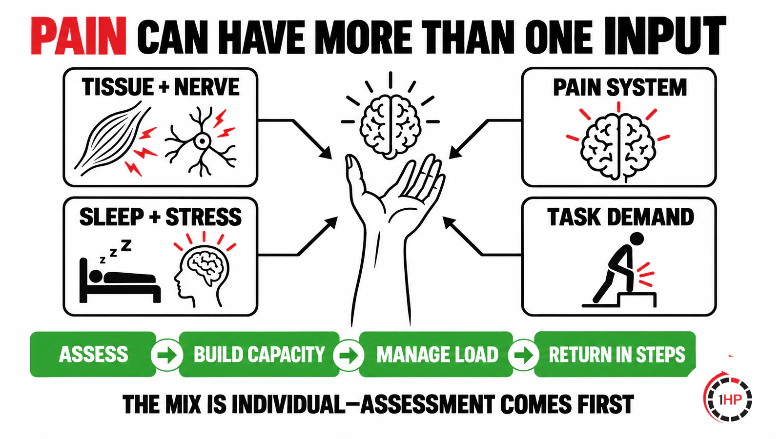 Persistent pain and central sensitization central sensitization and chronic pain cover graphic showing the 1HP both-and model of tissue assessment, nervous-system response, capacity building, and graded return.