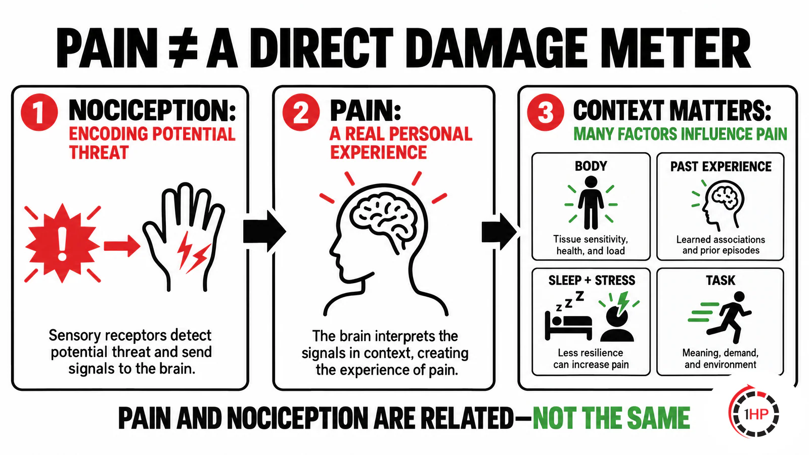Persistent pain and central sensitization central sensitization and chronic pain infographic separating pain experience, nociception, tissue and nerve input, context, and functional capacity.