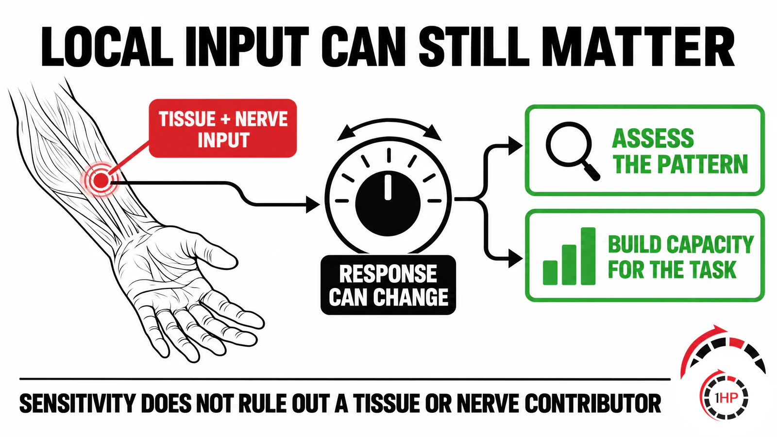 Persistent pain and central sensitization central sensitization and chronic pain peripheral-sensitization graphic showing a local nociceptor threshold, tissue input, and the need for individual assessment.