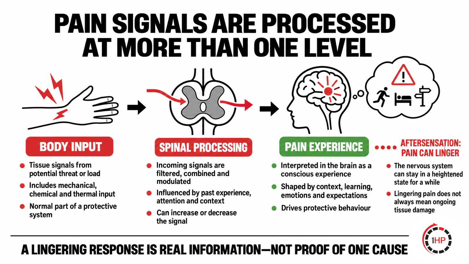 Persistent pain and central sensitization central sensitization and chronic pain spinal-processing graphic showing nociceptor input, spinal processing, brain interpretation, and possible aftersensations.