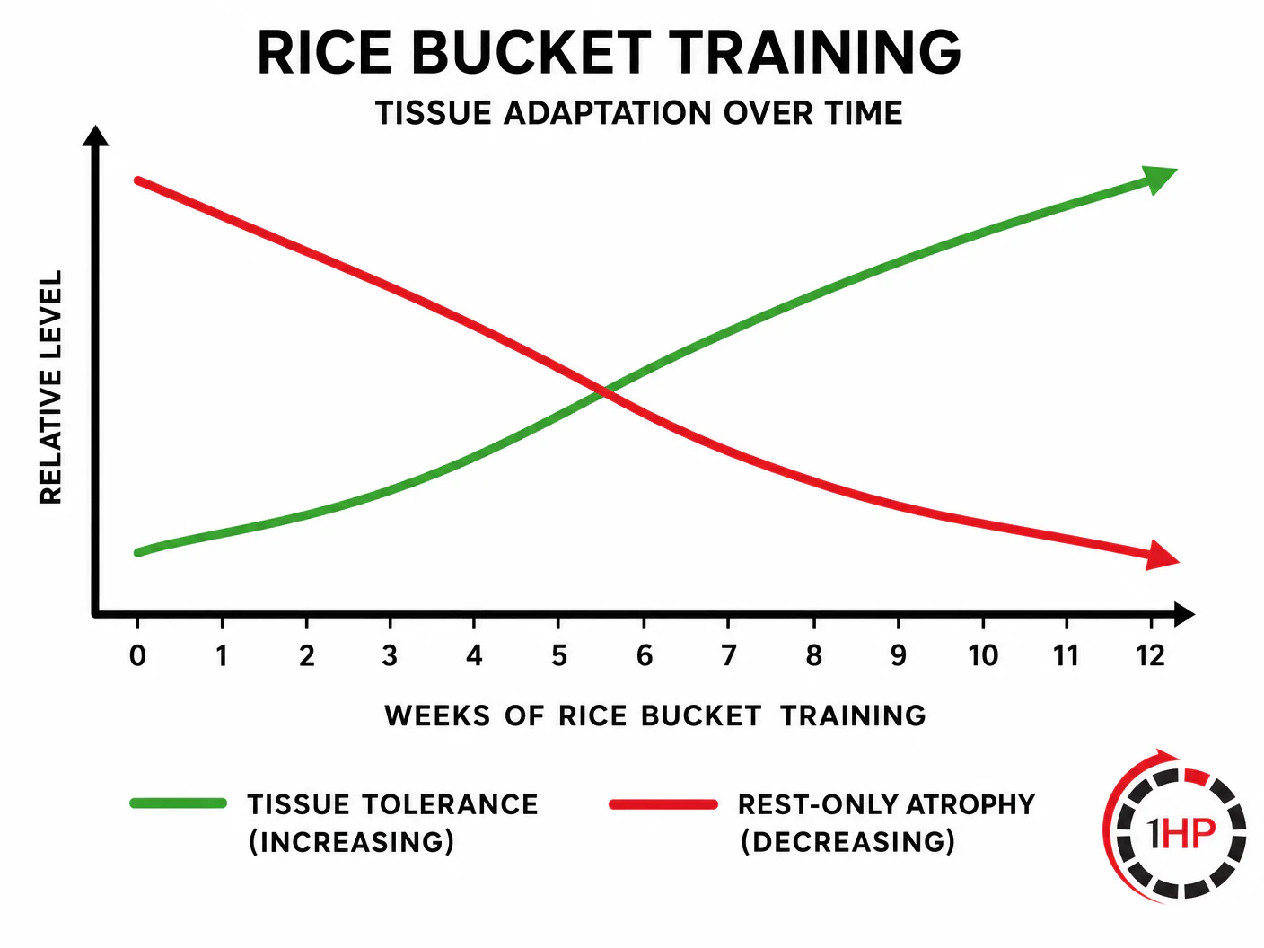 Close up of hand performing wrist flexion in rice bucket