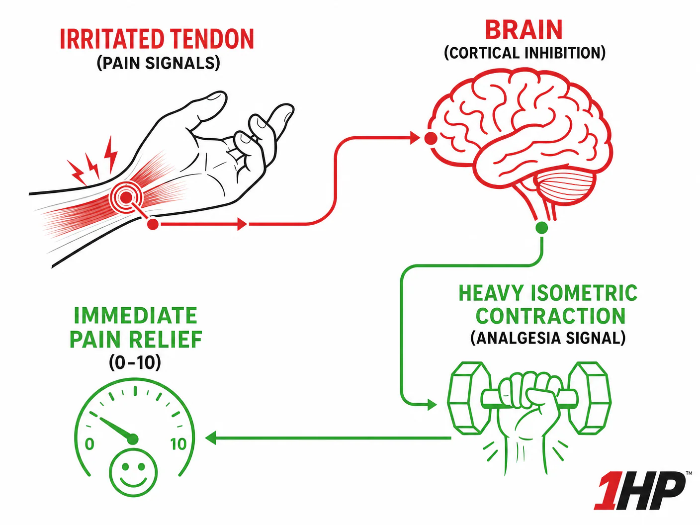 Scientific breakdown of isometric exercises for wrist pain relief