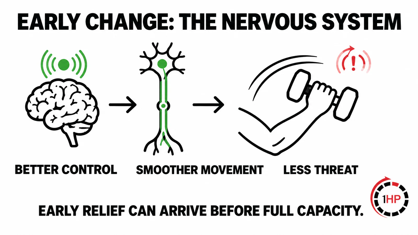 RSI recovery after two weeks graphic showing a nervous-system efficiency response before long-term capacity growth