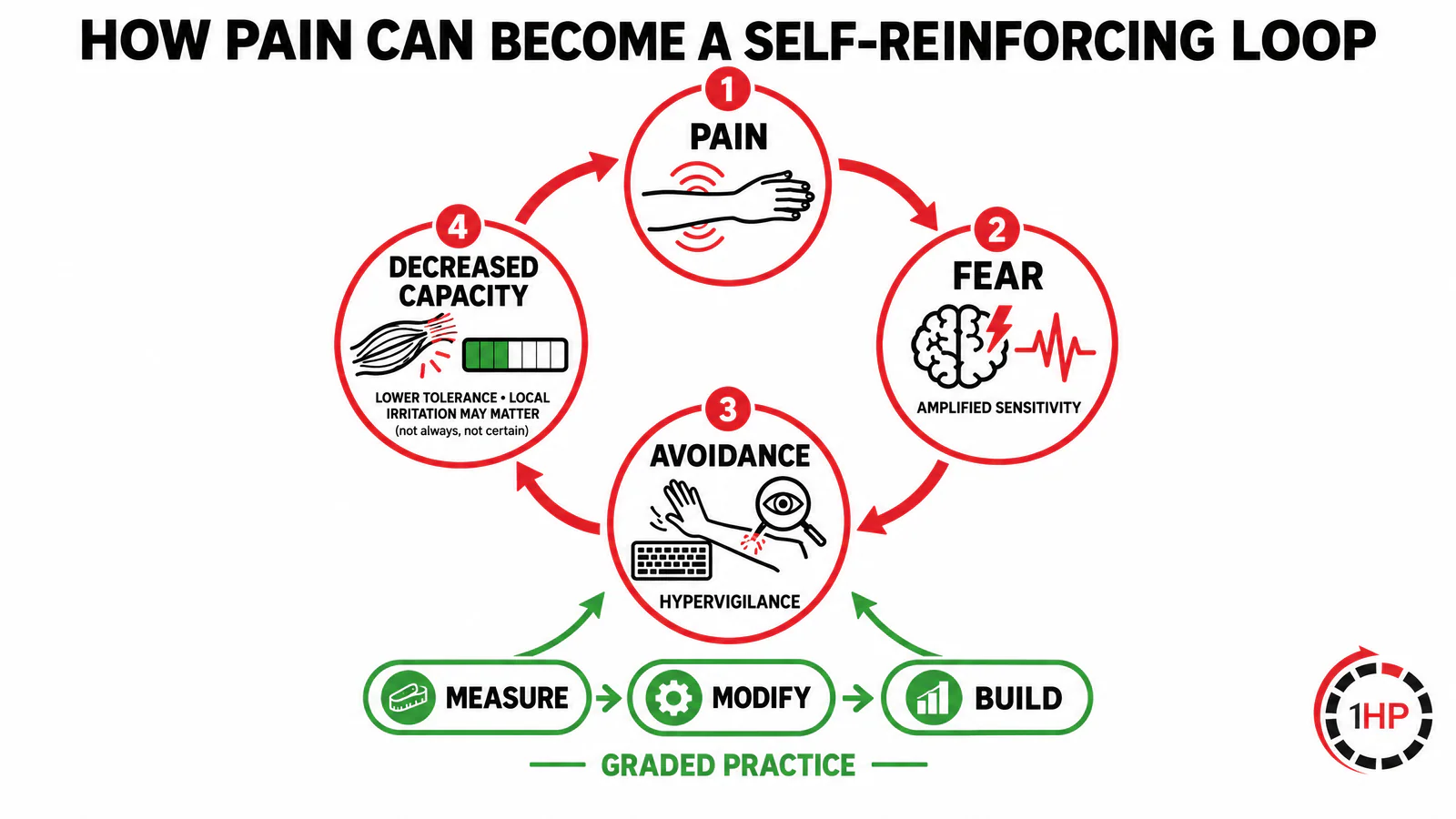 Sensitization and RSI pain cycle showing pain, fear with amplified sensitivity, avoidance with hypervigilance, decreased capacity, possible local irritation, and graded practice