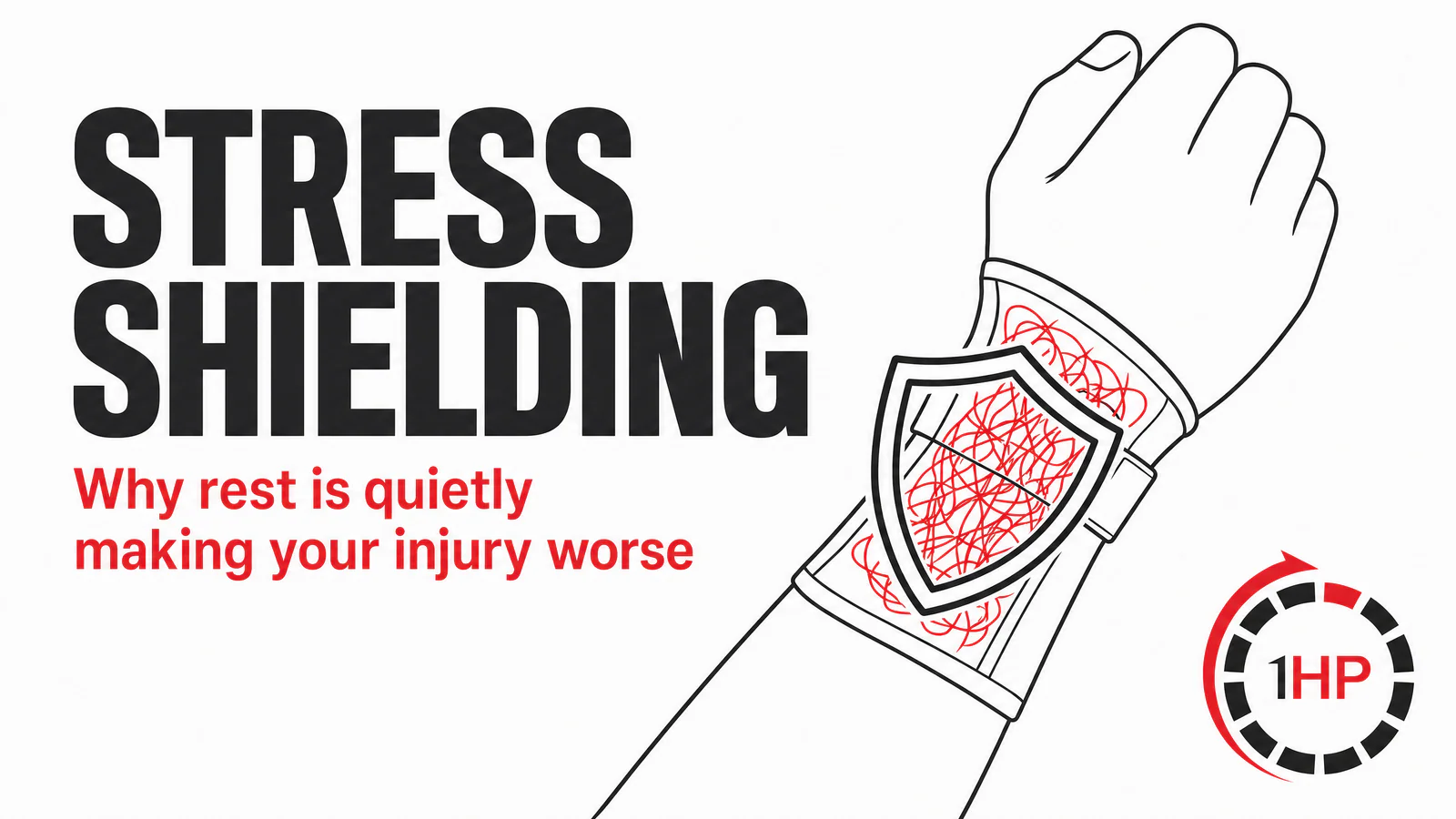Why Rest, Bracing, and Ice Are Quietly Shrinking the Tissue You're Trying to Heal
