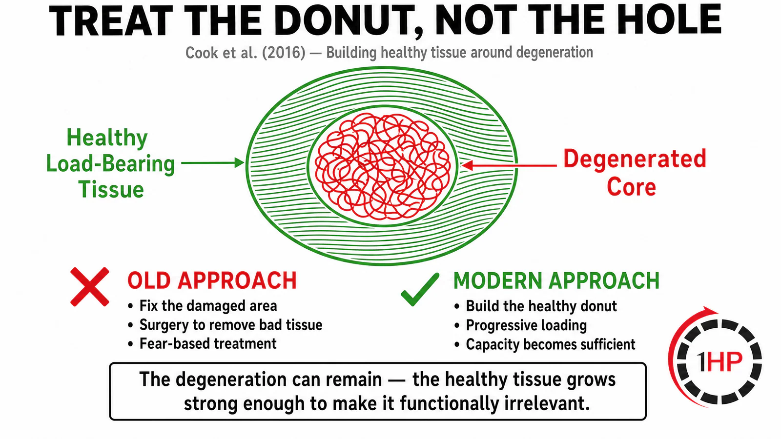 Treat the donut not the hole concept showing how healthy tissue is built around degeneration in the tendinopathy continuum