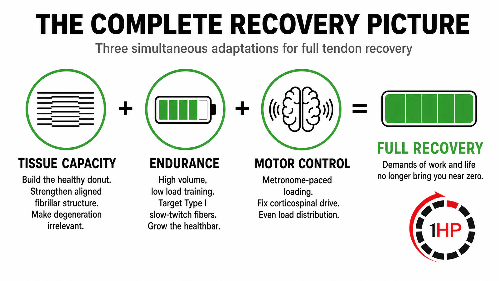 The complete recovery picture combining tissue capacity endurance and motor control for tendinopathy continuum rehabilitation