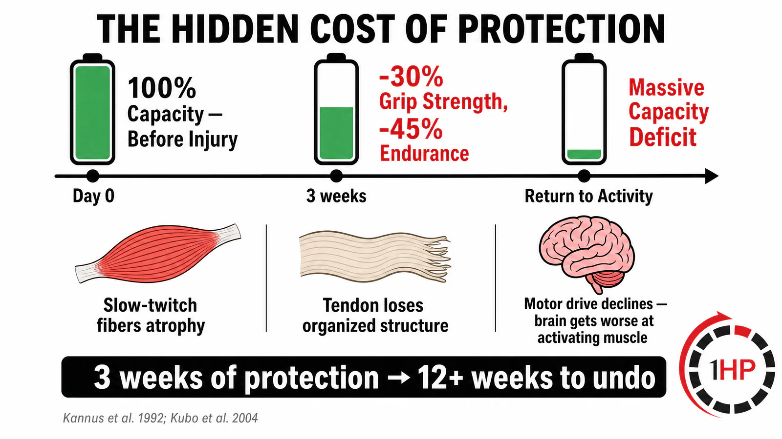Wrist pain after injury healed: The hidden cost of protection is a massive capacity deficit